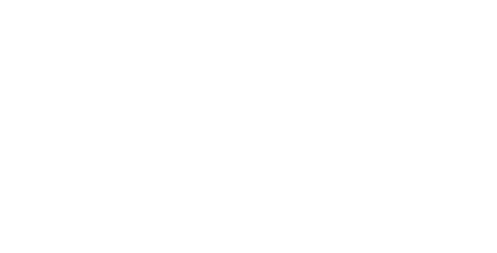 Aditya Birla Group